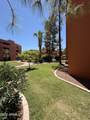 4303 Cactus Road - Photo 32