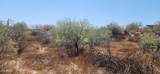 42XXX 7th Avenue - Photo 2