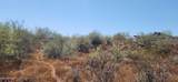 42XXX 7th Avenue - Photo 3