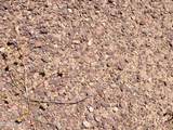 0 Eagle Eye Road - Photo 12