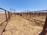 0 Eagle Eye Road - Photo 5