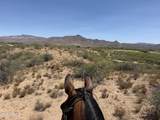 00 Founders Trail Trail - Photo 10