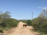 00 Founders Trail Trail - Photo 11