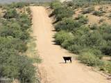 00 Founders Trail Trail - Photo 13
