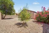 10612 Gross Avenue - Photo 28