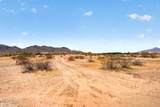 55610 Mcdavid Road - Photo 17