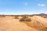 55610 Mcdavid Road - Photo 22