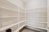 7280 Cactus Wren Way - Photo 15