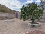 277 Campbell Street - Photo 17