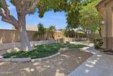 8056 Louise Drive - Photo 47