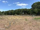 4537 Comanche Drive - Photo 3