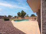 40282 Przewalski Street - Photo 15