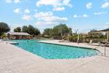 43249 Askew Drive - Photo 52