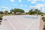 43249 Askew Drive - Photo 57