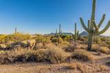 28729 107TH Street - Photo 24