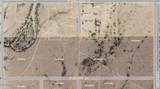 315th & Ave Indian School Road - Photo 6