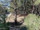 4405 Dreamy Lane - Photo 4