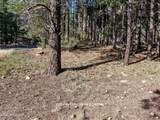 4405 Dreamy Lane - Photo 5