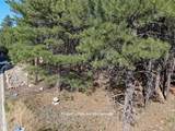4405 Dreamy Lane - Photo 7
