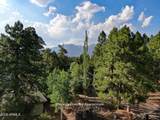 4405 Dreamy Lane - Photo 8