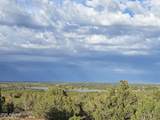 2075 Parker Ranch Road - Photo 17