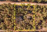 24 County Rd 2267 - Photo 53