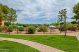 12212 Paradise Village Parkway - Photo 1