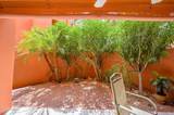 12212 Paradise Village Parkway - Photo 19