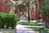 12212 Paradise Village Parkway - Photo 37