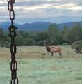 4 3163 - Photo 4