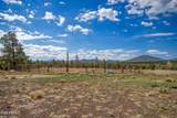 4 3163 - Photo 47