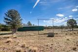 4 3163 - Photo 65