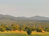 4 3163 - Photo 87