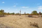 23411 Orville Street - Photo 39