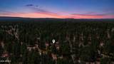 856 Coconino Loop - Photo 1
