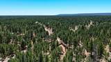 856 Coconino Loop - Photo 50