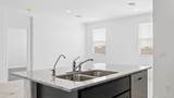 12330 Lupine Lane - Photo 6