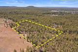 TBD Sawmill Drive - Photo 17