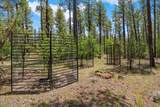 TBD Sawmill Drive - Photo 4