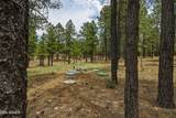 2799 Cherokee Way - Photo 12