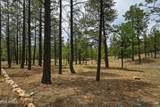 2799 Cherokee Way - Photo 13