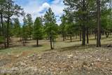 2799 Cherokee Way - Photo 2