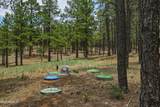2799 Cherokee Way - Photo 5