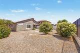 29260 Red Finch Drive - Photo 24