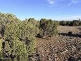 9070 Pinto Trail - Photo 10