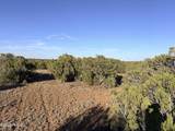 9070 Pinto Trail - Photo 11