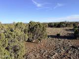 9070 Pinto Trail - Photo 12