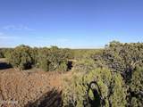 9070 Pinto Trail - Photo 13