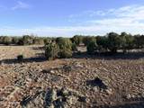 9070 Pinto Trail - Photo 14