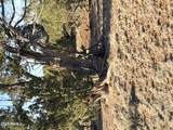 9070 Pinto Trail - Photo 9